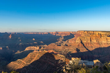 Breathtaking views of the Grand Canyon at sunset, highlighting dramatic cliffs, colorful rock layers, and soft golden light filtering through pine trees.