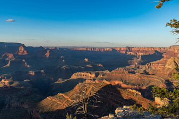 Breathtaking views of the Grand Canyon at sunset, highlighting dramatic cliffs, colorful rock layers, and soft golden light filtering through pine trees.