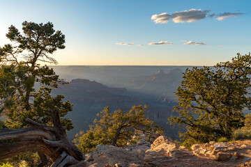 Golden sunset light illuminates the rugged cliffs and forested rim of the Grand Canyon, creating a dramatic scene of natural wonder and breathtaking vistas