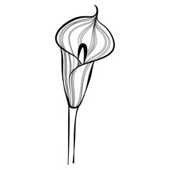 Cute Hand-Drawn Flower Line Art Set &ndash; Various Floral Outlines for Kids Coloring Pages, Worksheets, and Educational Crafts