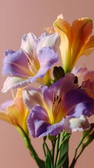 Fototapeta premium A bouquet of flowers with purple and yellow flowers