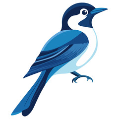Obraz premium blue magpie, animal, vector, transparent background, feather, wildlife, cute, beak, blue, isolated, beautiful, wing, nature