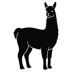 alpaca vector