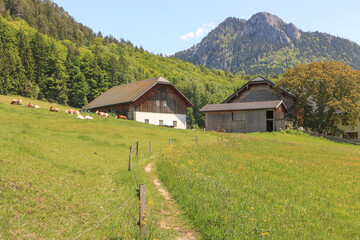 Fototapeta premium Alpenidylle am Fuschlsee