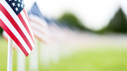 Military cemetery honors fallen heroes with rows of American flags
