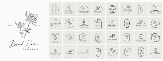 Minimal Botanical Floral element Hand Drawn Logo with Hand drawn wedding, herb, homeplant with elegant leaves. Botanical rustic trendy greenery. Logo for spa and beauty salon, boutique 