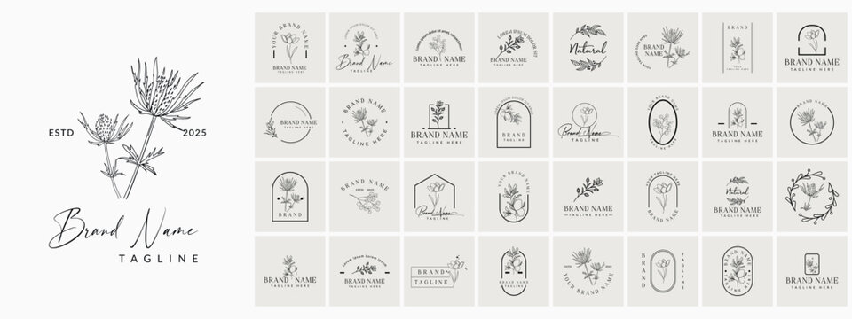 Minimal Botanical Floral element Hand Drawn Logo with Hand drawn wedding, herb, homeplant with elegant leaves. Botanical rustic trendy greenery. Logo for spa and beauty salon, boutique 