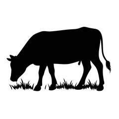  Cow Silhouette Eating Grass in Farm