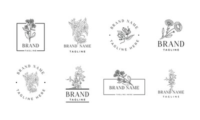 Minimal Botanical Floral element Hand Drawn Logo with Hand drawn wedding, herb, homeplant with elegant leaves. Botanical rustic trendy greenery. Logo for spa and beauty salon, boutique 