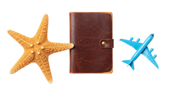 Isolated Background Airplane Passport and Starfish Theme in Travel Concept