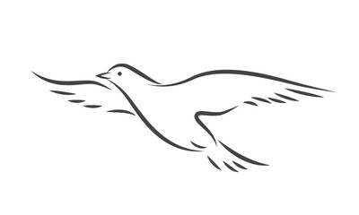Bird silhouette in flight. Line drawing of dove. Vector illustration