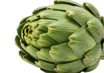 Fototapeta premium Isolated Background of Fresh Green Globe Artichoke Vegetable Raw Food