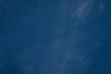 Minimalist view of an airplane flying high in the sky with clear blue background. Travel and aviation concept.
