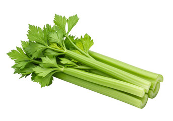 Isolated Fresh Green Celery Stalks Transparent Background Vegetable Food