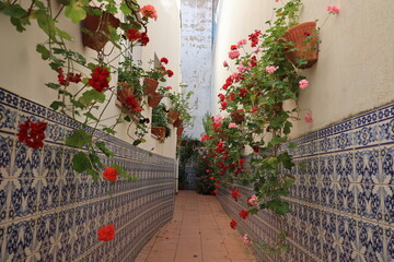 Flowerpots with blossoms in an alley in the Portuguese town of Silves, Algarve, Portugal  