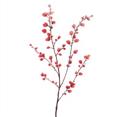 Silhouette cherry blossom branch illustration minimalist red.