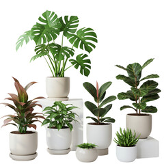 Isolated Group of Diverse Potted Plants on Transparent Background PNG