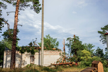 Damaged structure in forest after hurricane, showcasing fallen trees and storm aftermath