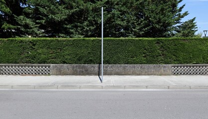 Metallic pole on  sidewalk with concrete fence, hedge and trees on behind. Street in front....
