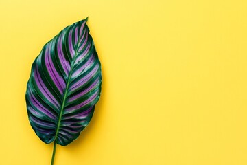 Vibrant leaf on a bright yellow background.