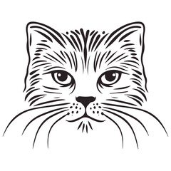 Obraz premium manul, animal, vector, transparent background, feline, fluffy, isolated, furry, mammal, beautiful, adorable, breed, cute, small, nature, wildlife, zoo