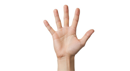 Isolated Photo of Open Human Hand Showing Five Fingers Gesture Palm Up