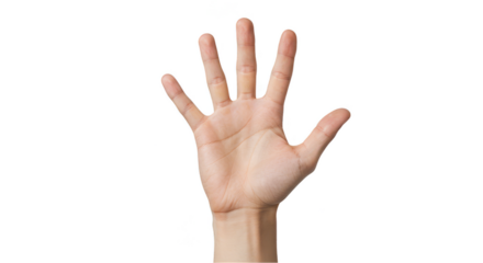 Isolated Photo of Open Human Hand Showing Five Fingers Gesture Palm Up