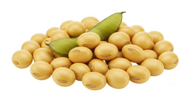 Isolated Pile of Yellow Soybeans and Green Pods on Transparent Background