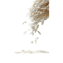 A macro image captures a captivating moment as grains of white rice cascade downward. The grains seem to dance in mid-air. A close-up look at food.