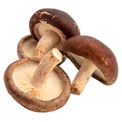 Shiitake mushrooms isolated on white or transparent png