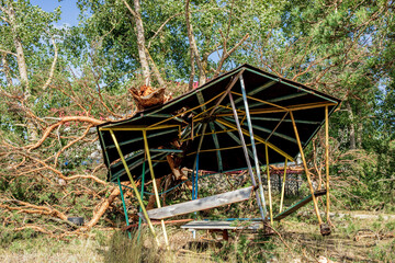 Damaged gazebo under fallen tree after summer hurricane in forest landscape