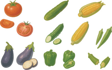 Summer Vegetables Illustration Set with Tomato, Corn, Cucumber, Eggplant, Bell Pepper, and Okra