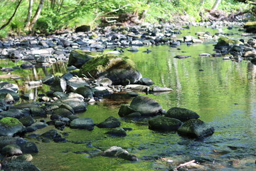 View along a woodland river with a rocky bed, with green reflections in the still water
