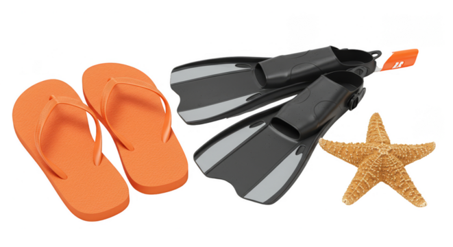 Isolated Summer Beach Vacation Accessories Orange Flip Flops Fins Starfish