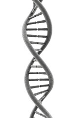 Isolated Transparent Background 3D Illustration of DNA Helix Molecule