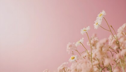 Delicate white daisies and soft pink flowers against a pale pink backdrop.