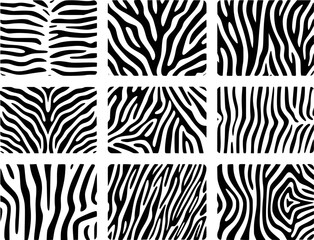 Collection of abstract zebra stripes black and white patterns