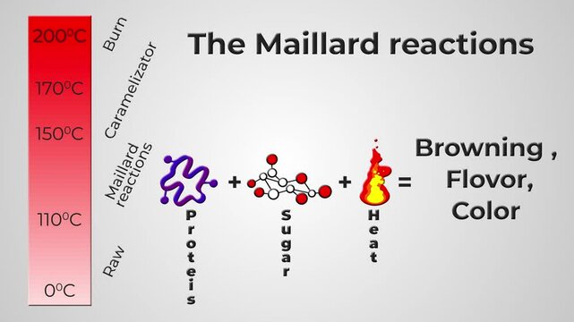 3D animation of the Maillard reaction showing protein, sugar, and fire with appearing elements and burning effect. Great for science, nutrition, or cooking-related content