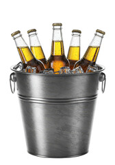 Isolated Transparent Png of Chilled Beer Bottles in Iced Metal Bucket