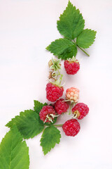 ラズベリーと葉