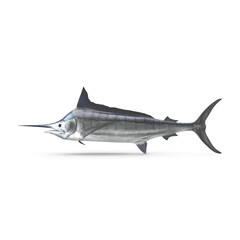 Obraz premium Swordfish isolated on transparent background