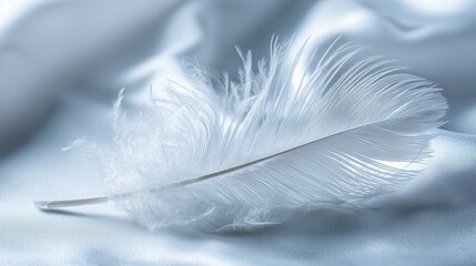 white feathers falling down, delicate feathers placed on a soft white fabric background, minimal composition, peaceful 