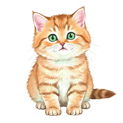 Obraz premium Watercolor Illustration of Cute Ginger Kitten Sitting on Transparent Background
