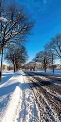 Obraz premium A snow-covered road lined with leafless trees under a clear blue sky on a sunny winter day.