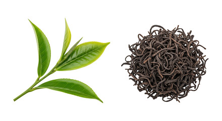 Obraz premium Fresh green tea and black tea leaves