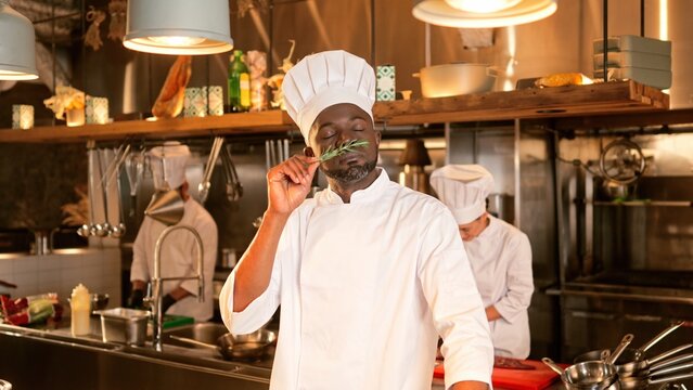 Portrait of professional African American male cook looking at herbs, inspecting, smelling and enjoying. Handsome African skillful chef cooking delicious food in modern kitchen.