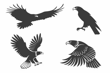 Fototapeta premium eagle vector illustration