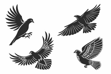 Obraz premium set of birds