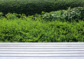 Classic long wooden chair in the garden