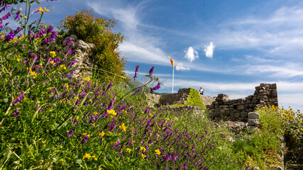 Bergfrühling in Montenegro
